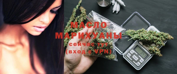 амф Дмитриев