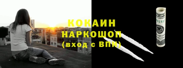 амф Дмитриев