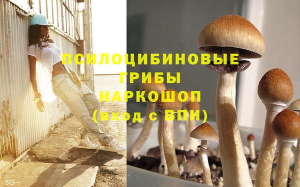 MESCALINE Нефтекумск