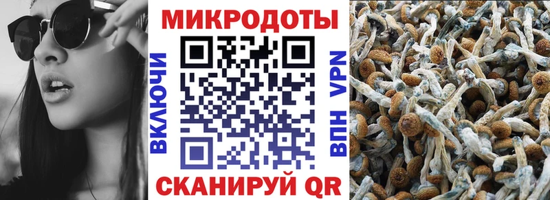 Галлюциногенные грибы мухоморы  Первомайск 